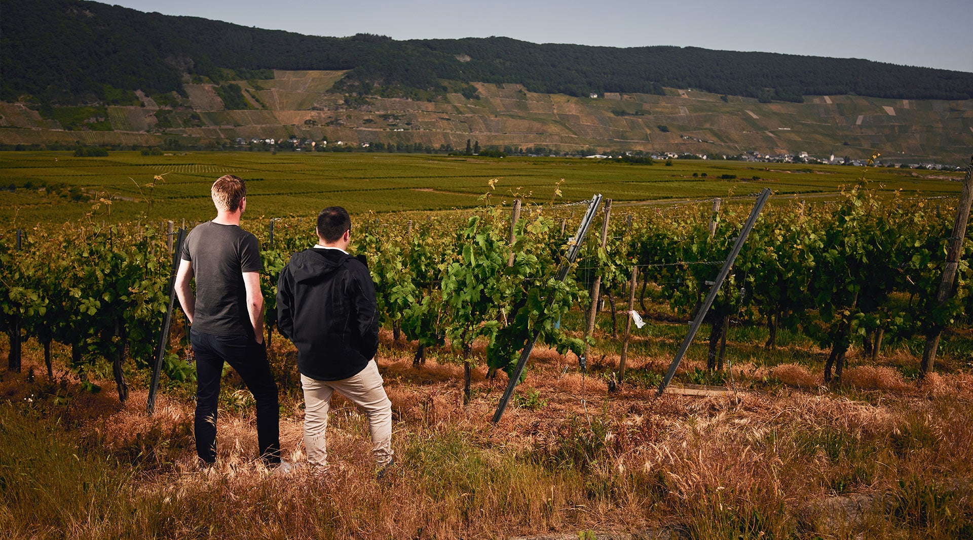Corvin Prigge und Florian Maring vor einem Weinberg, in die Ferne schauend