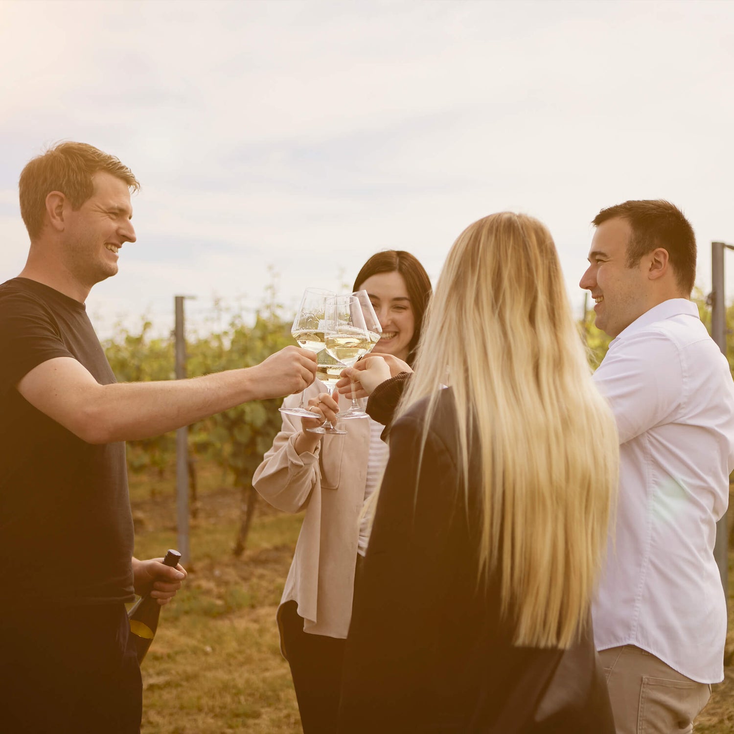 Corvin Prigge und Florian Maring beim Anstoßen mit Gläsern im Weinberg