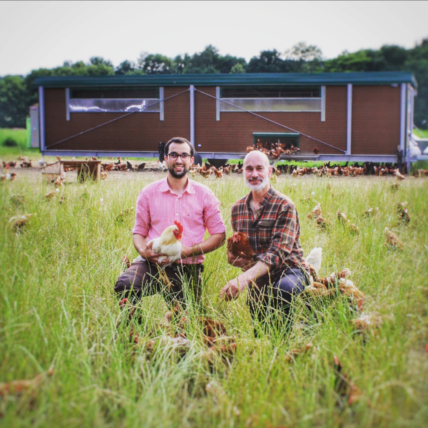 LaSchrö Eierlikör - Mit Korn verfeinert