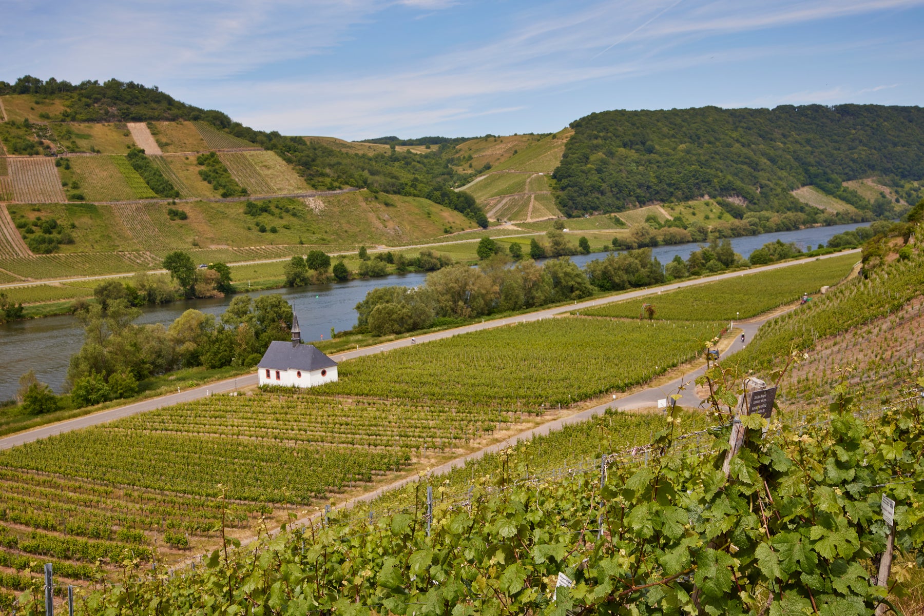 Weinberge im Neumagener Rosengärtchen