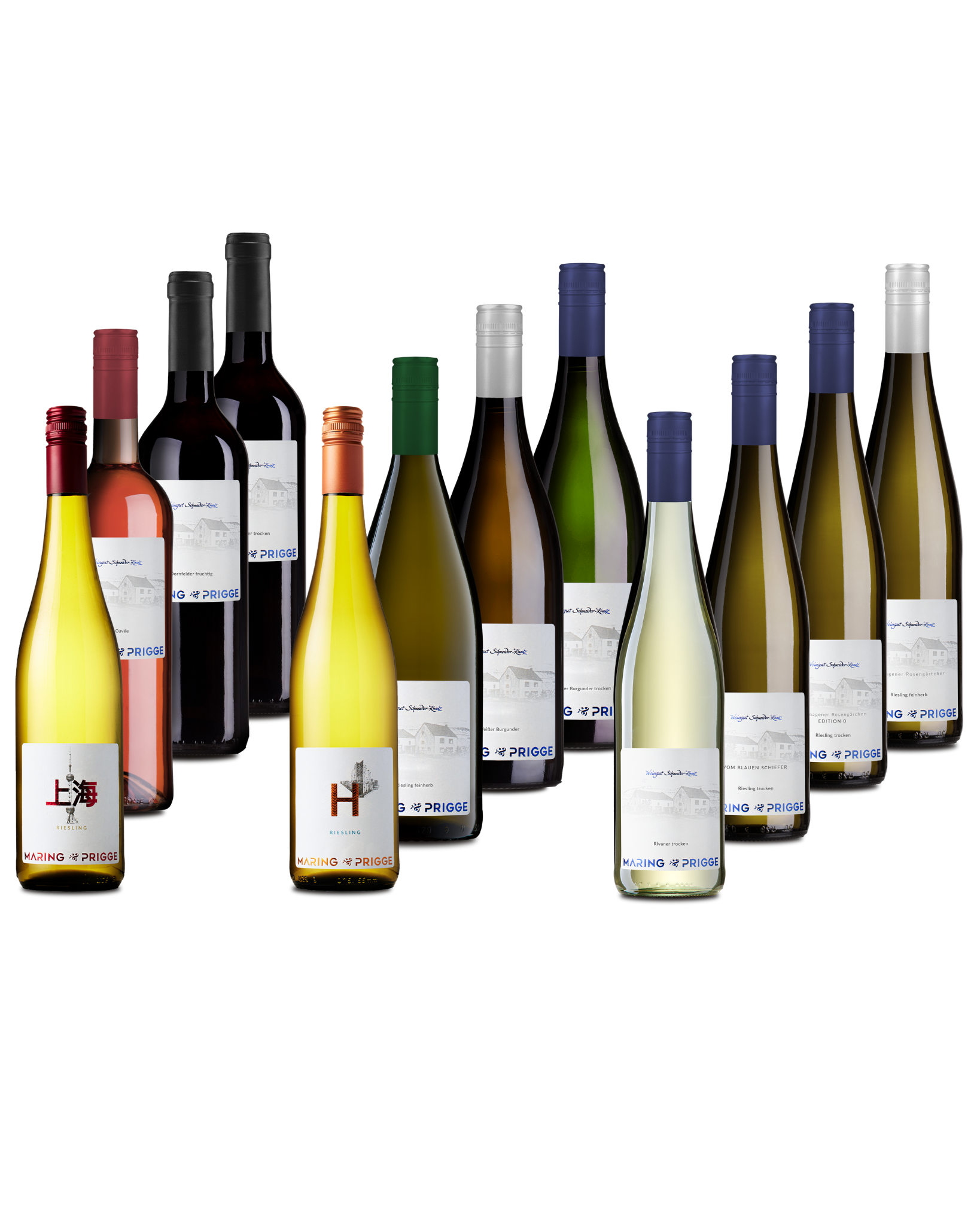 Maring-Prigge Probierpaket 2 - 12 verschiedene Weinflaschen aufgereit